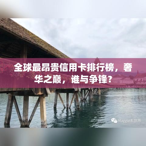 全球最昂贵信用卡排行榜，奢华之巅，谁与争锋？