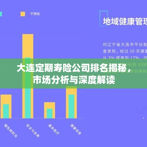 大连定期寿险公司排名揭秘，市场分析与深度解读