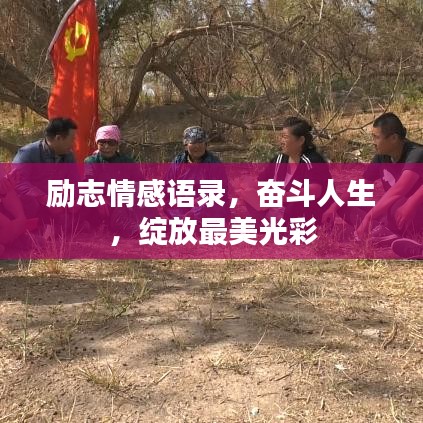 励志情感语录，奋斗人生，绽放最美光彩