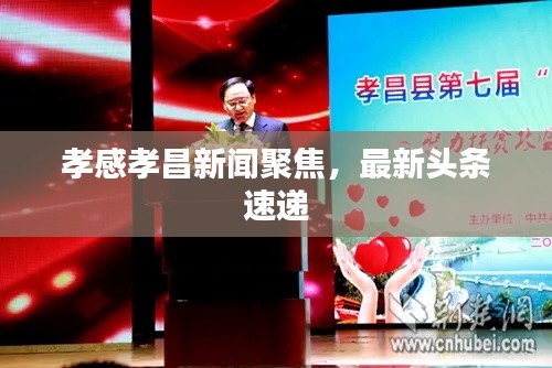 孝感孝昌新闻聚焦，最新头条速递