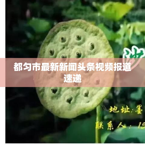 都匀市最新新闻头条视频报道速递