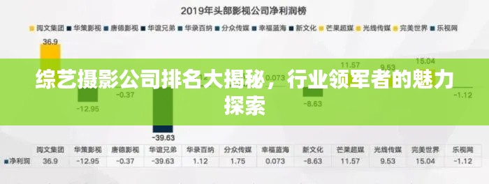 综艺摄影公司排名大揭秘，行业领军者的魅力探索