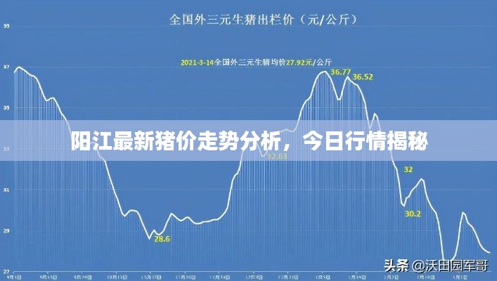 阳江最新猪价走势分析，今日行情揭秘