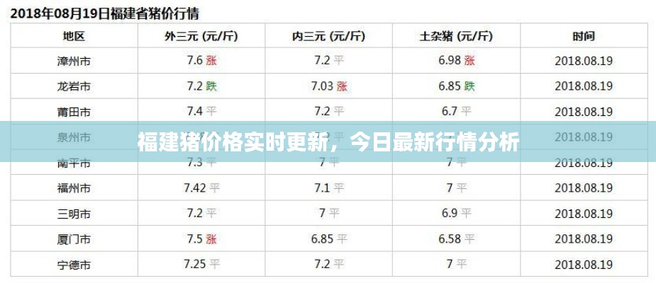 福建猪价格实时更新，今日最新行情分析