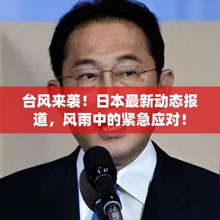 台风来袭！日本最新动态报道，风雨中的紧急应对！