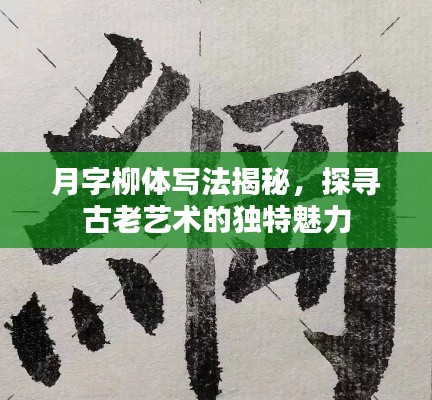 月字柳体写法揭秘，探寻古老艺术的独特魅力