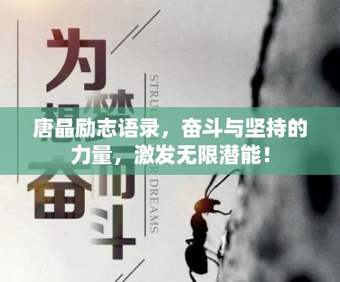 唐晶励志语录，奋斗与坚持的力量，激发无限潜能！