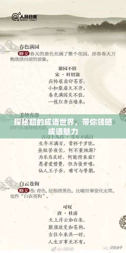 探秘貂的成语世界，带你领略成语魅力