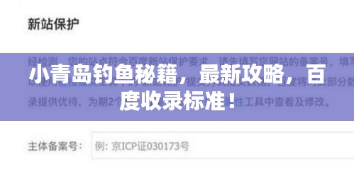小青岛钓鱼秘籍，最新攻略，百度收录标准！