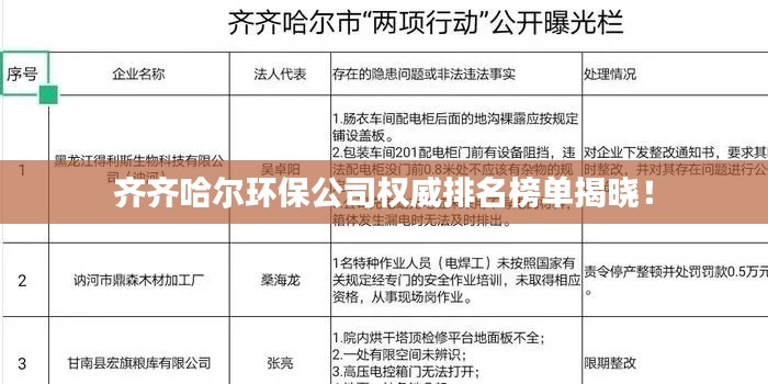 齐齐哈尔环保公司权威排名榜单揭晓！