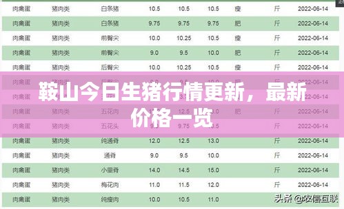 鞍山今日生猪行情更新，最新价格一览