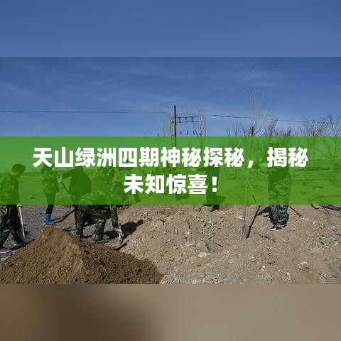 天山绿洲四期神秘探秘，揭秘未知惊喜！