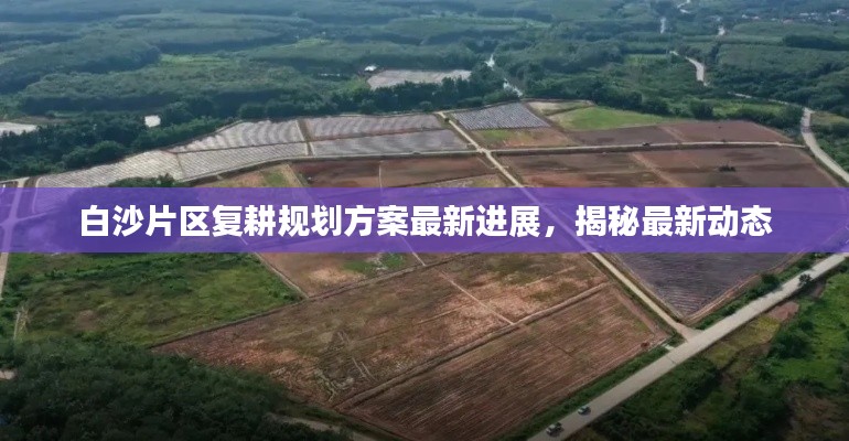 白沙片区复耕规划方案最新进展，揭秘最新动态