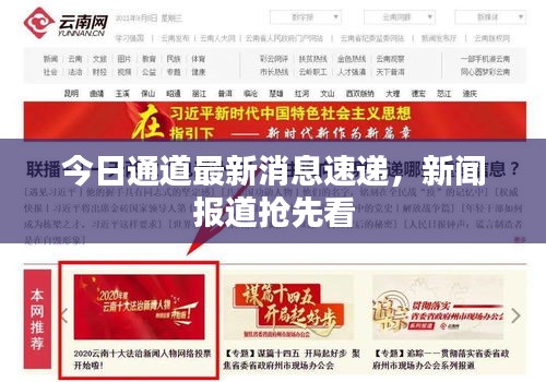 今日通道最新消息速递，新闻报道抢先看