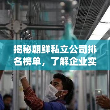 揭秘朝鲜私立公司排名榜单，了解企业实力与发展趋势！
