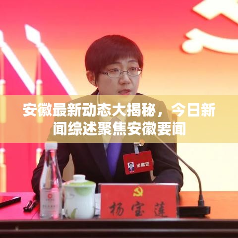 安徽最新动态大揭秘，今日新闻综述聚焦安徽要闻