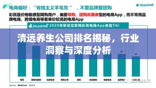 清远养生公司排名揭秘，行业洞察与深度分析