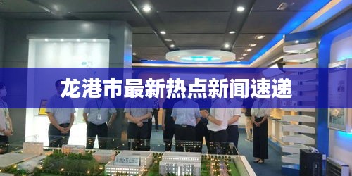 龙港市最新热点新闻速递