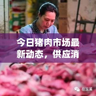今日猪肉市场最新动态，供应消息一览
