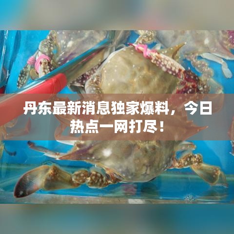 丹东最新消息独家爆料，今日热点一网打尽！