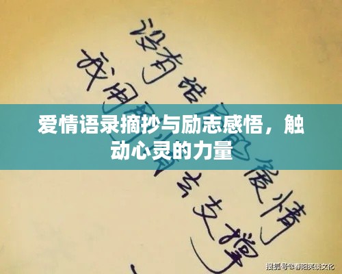 爱情语录摘抄与励志感悟，触动心灵的力量