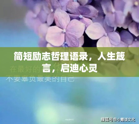笼鸟槛猿 第2页