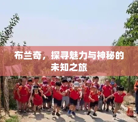 布兰奇，探寻魅力与神秘的未知之旅