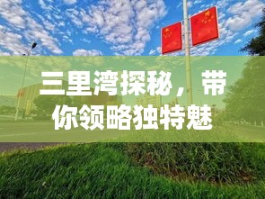 三里湾探秘，带你领略独特魅力，百度收录必备攻略！