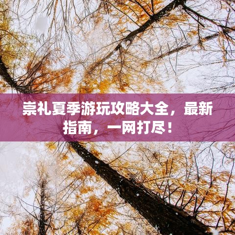 崇礼夏季游玩攻略大全，最新指南，一网打尽！