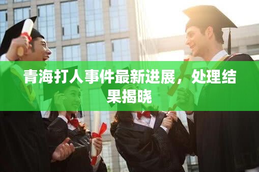 青海打人事件最新进展，处理结果揭晓