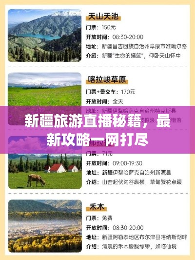 新疆旅游直播秘籍，最新攻略一网打尽