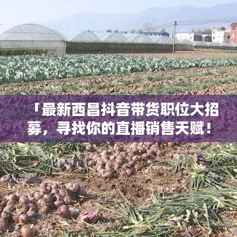 「最新西昌抖音带货职位大招募，寻找你的直播销售天赋！」