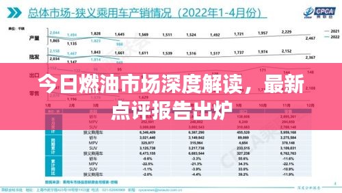 今日燃油市场深度解读，最新点评报告出炉