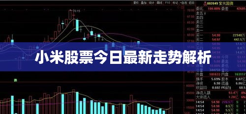 小米股票今日最新走势解析
