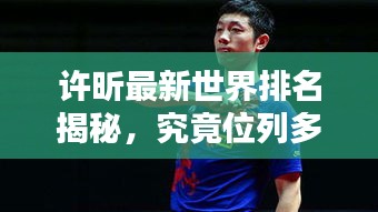 许昕最新世界排名揭秘，究竟位列多少名？