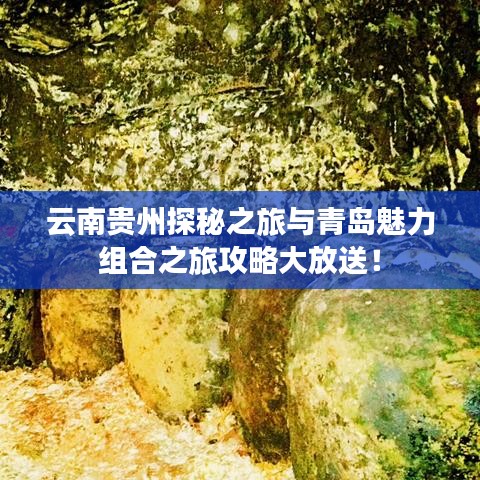 云南贵州探秘之旅与青岛魅力组合之旅攻略大放送！