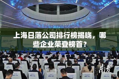上海日落公司排行榜揭晓，哪些企业荣登榜首？