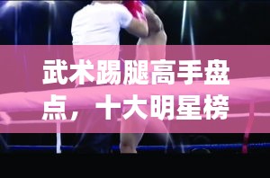 武术踢腿高手盘点，十大明星榜单揭晓！