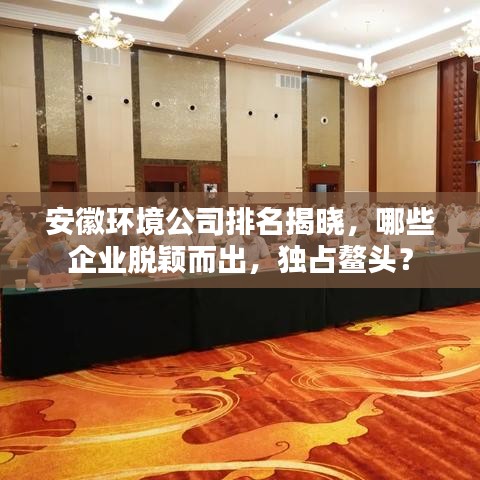 安徽环境公司排名揭晓，哪些企业脱颖而出，独占鳌头？