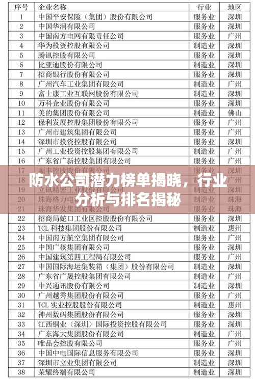 防水公司潜力榜单揭晓，行业分析与排名揭秘