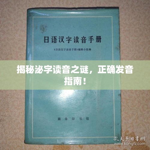 揭秘泌字读音之谜，正确发音指南！