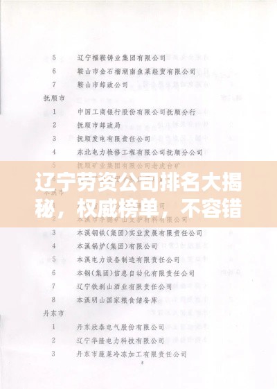 辽宁劳资公司排名大揭秘，权威榜单，不容错过！