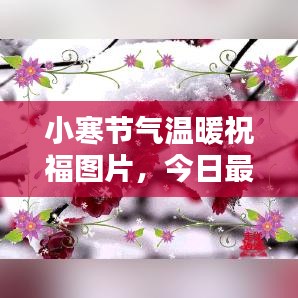 小寒节气温暖祝福图片，今日最新问候传递关怀之心
