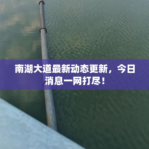 南湖大道最新动态更新，今日消息一网打尽！