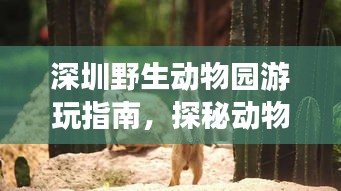 深圳野生动物园游玩指南，探秘动物王国之旅！