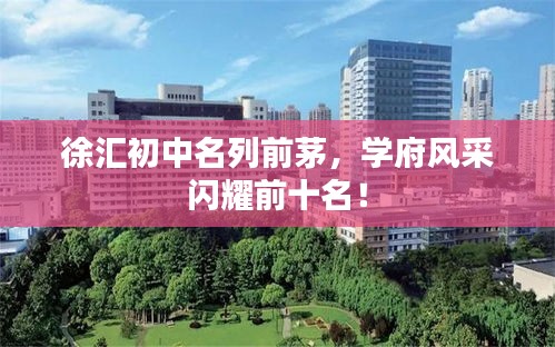 徐汇初中名列前茅，学府风采闪耀前十名！