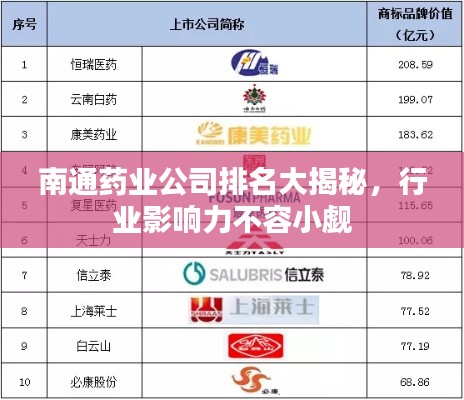南通药业公司排名大揭秘，行业影响力不容小觑