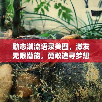 励志潮流语录美图，激发无限潜能，勇敢追寻梦想的力量之源