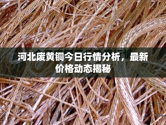 河北废黄铜今日行情分析，最新价格动态揭秘