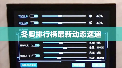 冬奥排行榜最新动态速递